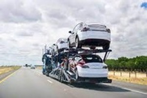Car Transport From New Jersey To Florida